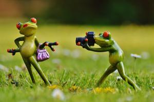 Změna termínu fotografování 1